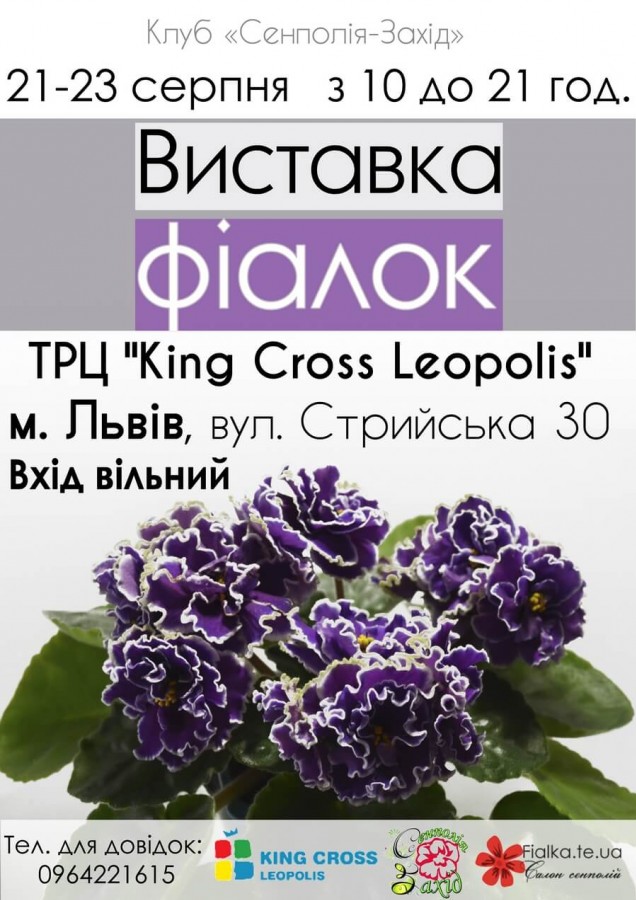 Exhibition of violets on August 21-23
